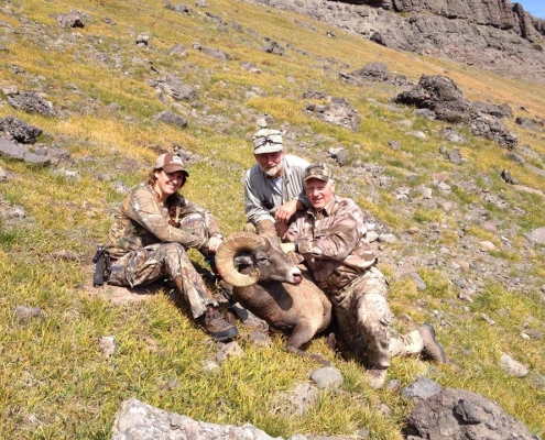 Big Horn Sheep Score - Sheep Mesa Outfitters, Cody, Wyoming