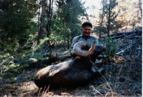 Big Horn Sheep Trophy Sheep Mesa Outfitters
